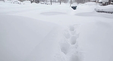 Heavy Snow and High Winds Impact Pacific Northwest: Storm Alert Issued