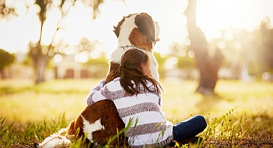 How to Help Your Pet Cope with the Loss of Another: Expert Advice