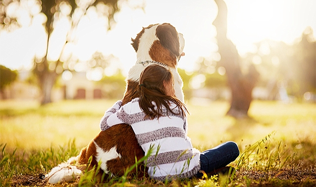 How to Help Your Pet Cope with the Loss of Another: Expert Advice