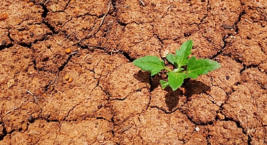 UNCCD COP16: A Crucial Turning Point for Combating Land Degradation and Global Crises